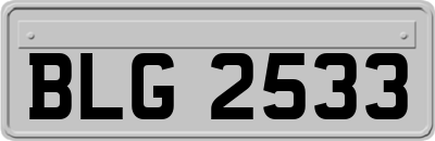 BLG2533