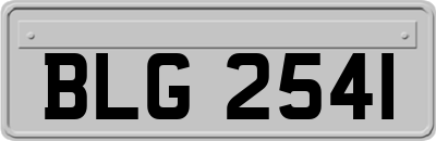 BLG2541