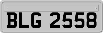 BLG2558
