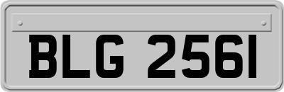 BLG2561