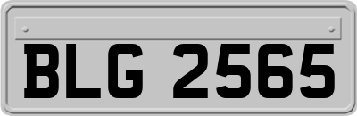 BLG2565