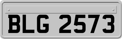 BLG2573