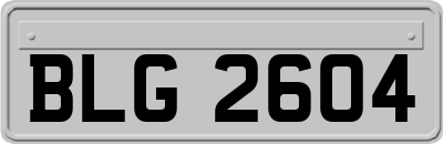 BLG2604