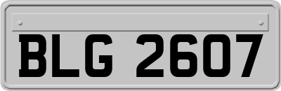 BLG2607