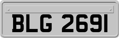 BLG2691
