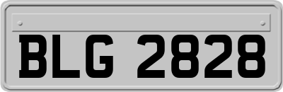 BLG2828