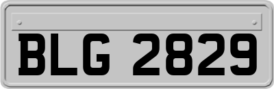 BLG2829