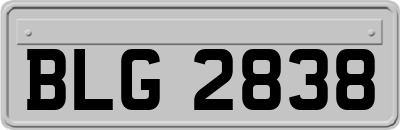 BLG2838
