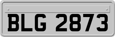 BLG2873