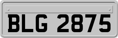 BLG2875