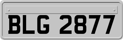 BLG2877