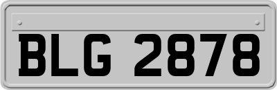 BLG2878