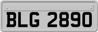 BLG2890