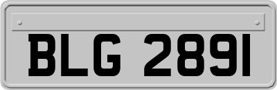 BLG2891