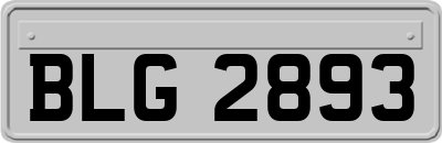 BLG2893