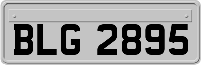 BLG2895