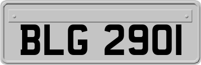 BLG2901