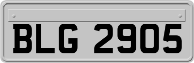 BLG2905