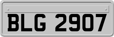 BLG2907