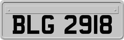 BLG2918