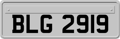 BLG2919