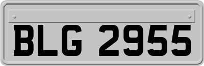 BLG2955
