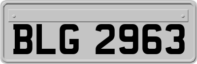 BLG2963