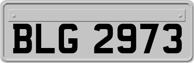 BLG2973