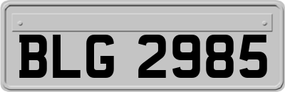 BLG2985