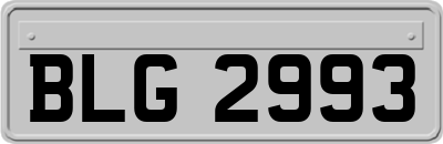 BLG2993
