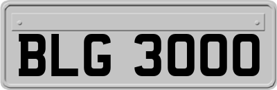 BLG3000
