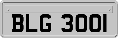 BLG3001
