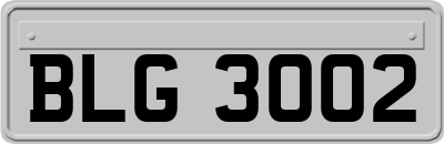 BLG3002