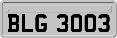 BLG3003