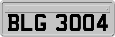 BLG3004