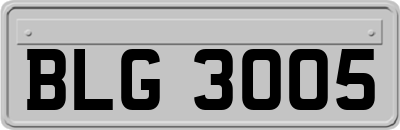 BLG3005