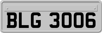 BLG3006