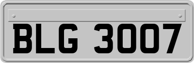 BLG3007