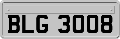 BLG3008