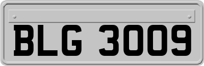 BLG3009