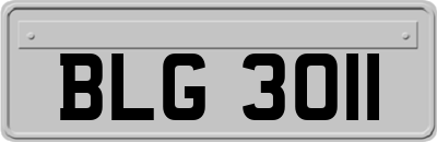 BLG3011