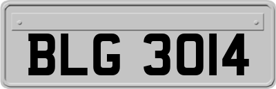 BLG3014