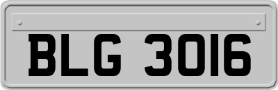 BLG3016