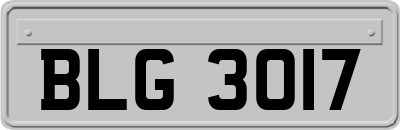 BLG3017