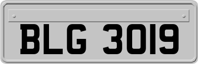 BLG3019
