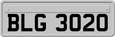 BLG3020