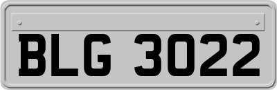 BLG3022