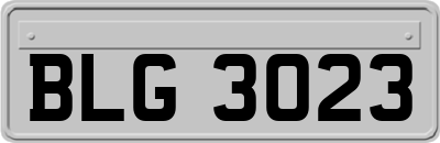 BLG3023