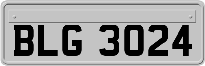 BLG3024