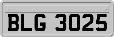 BLG3025